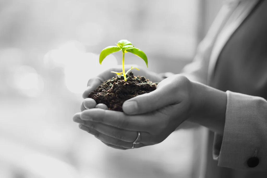 our services grow with-us contact elba trade solutions